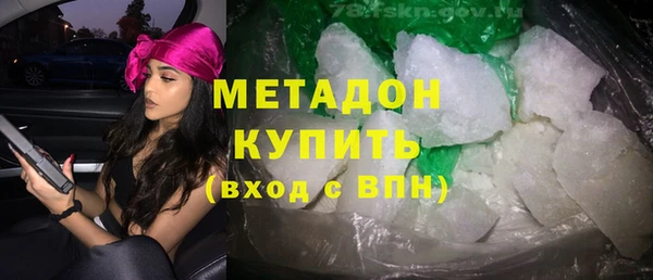 индика Новозыбков