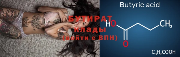 индика Новозыбков