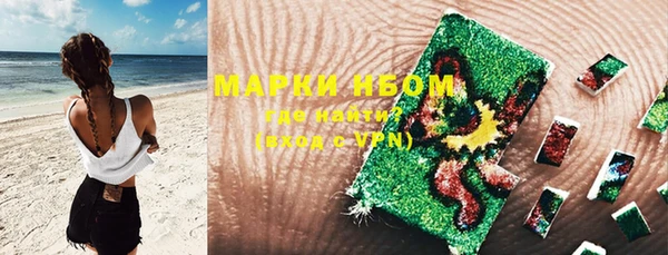 крисы Новодвинск