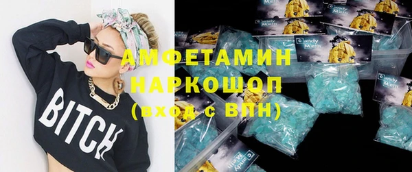 крисы Новодвинск