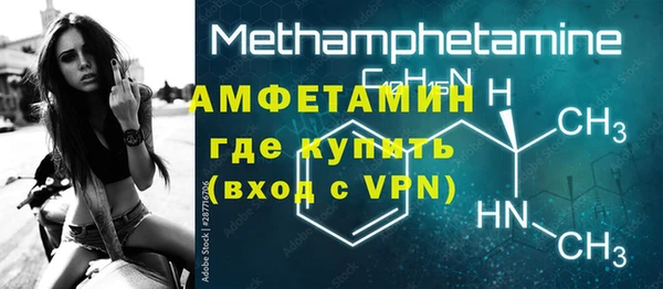индика Новозыбков