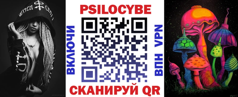 Галлюциногенные грибы Magic Shrooms  как найти закладки  Кисловодск 