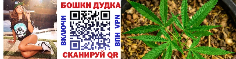 Каннабис семена  наркошоп  Кисловодск 